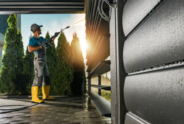 Best Local Pressure Washing Services  in Arlington, WA