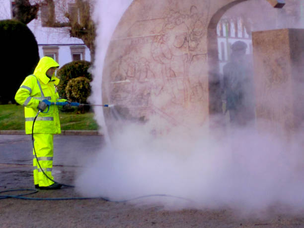 Best Roof Power Washing Services  in Arlington, WA