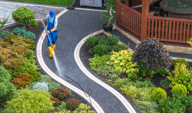 Best Residential Pressure Washing Services  in Arlington, WA
